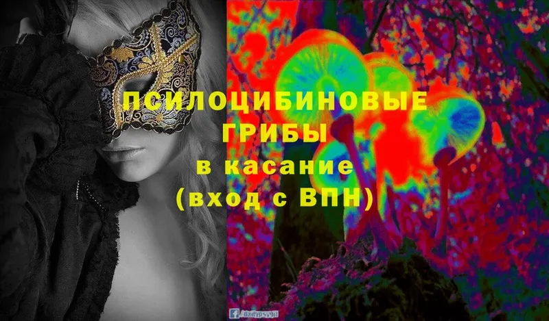 Псилоцибиновые грибы Cubensis  Алатырь 